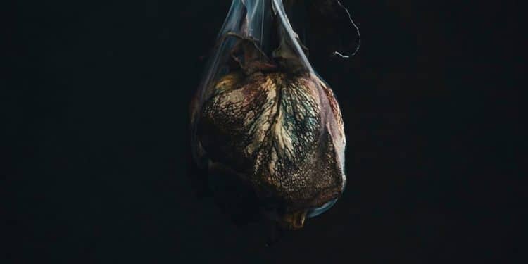 Trivium, i dettagli del prossimo album ‘What The Dead Men Say’