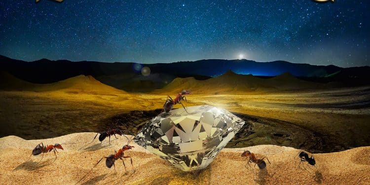 Enzo And The Glory Ensemble, disponibile il nuovo singolo Try To Put In Pit The Fear