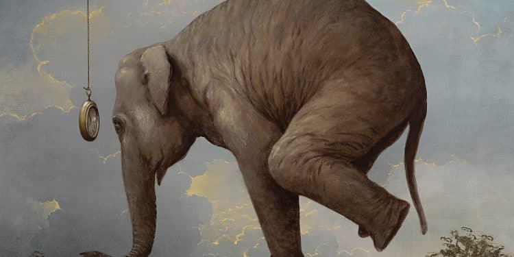 THE FLOWER KINGS – Waiting For Miracles