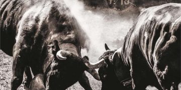 GOTTHARD – #13