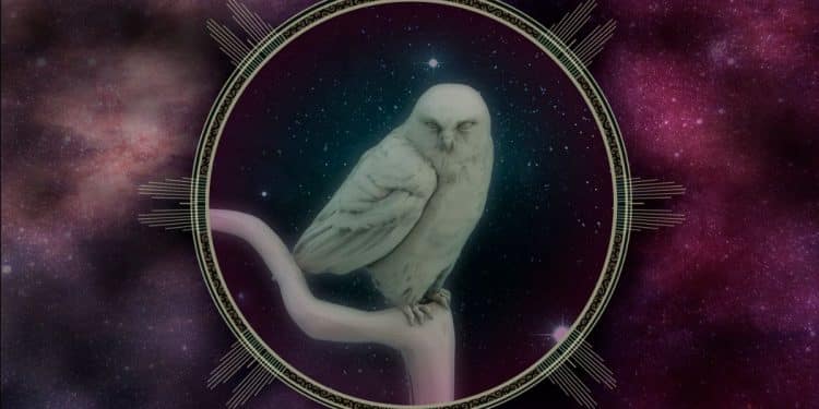 NIGHTWISH – Decades: Live In Buenos Aires