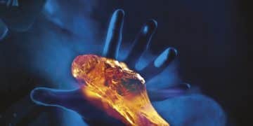 DENNER’S INFERNO – IN AMBER