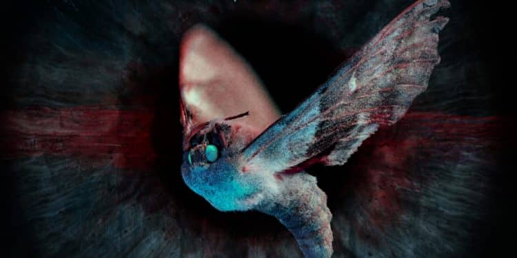 CRYPTEX – Once Upon A Time