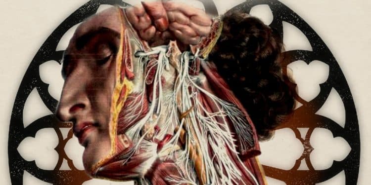 HEIL TO THE EMPIRE – Materia