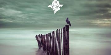 RØSENKREÜTZ – Divide Et Impera
