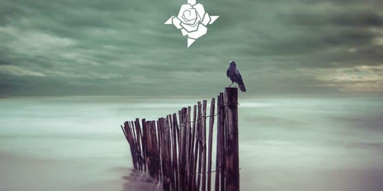 RØSENKREÜTZ – Divide Et Impera