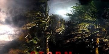 TANNA – Storm In Paradise