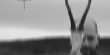 TENEBRA, rivelano track stream video e nuovo ep