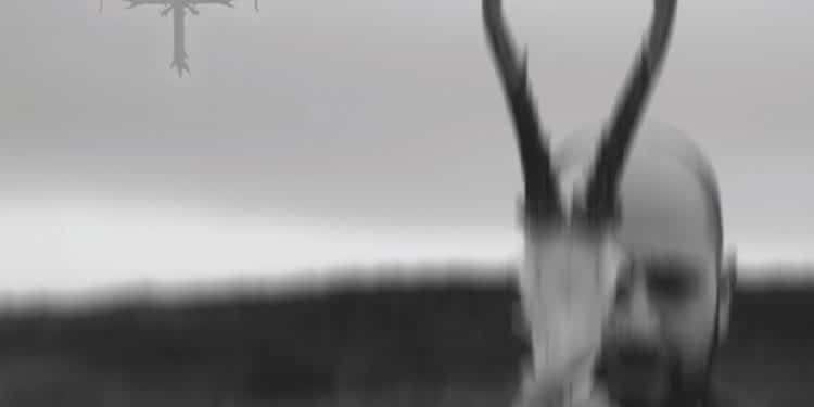 TENEBRA, rivelano track stream video e nuovo ep