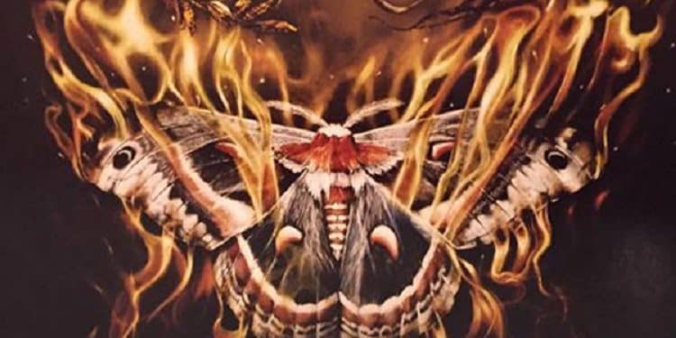 Verde Lauro, ‘Son animali al mondo’ disponibile su piattaforme streaming e digital download