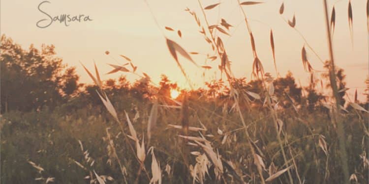 THE C. ZEK BAND – Samsara