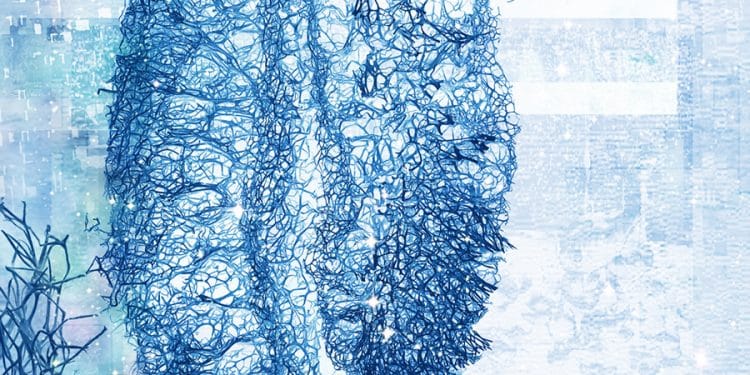 MITOCHONDRIAL SUN – Sju Pulsarer