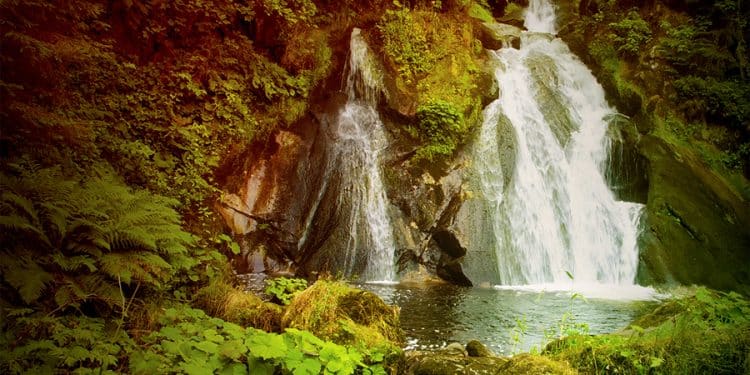 CELTIC HILLS – Schräge Music