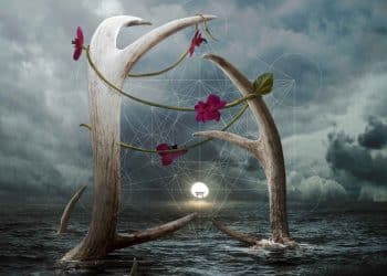 OCEANA – The Pattern