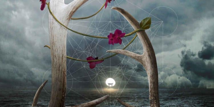 OCEANA – The Pattern