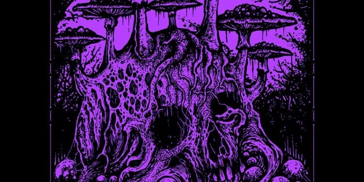 VANHELGA, firma con Cult Of Parthenope