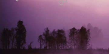 ESCUMERGAMËNT – …Ni Degu Fazentz Escumergamënt E Mesorga…