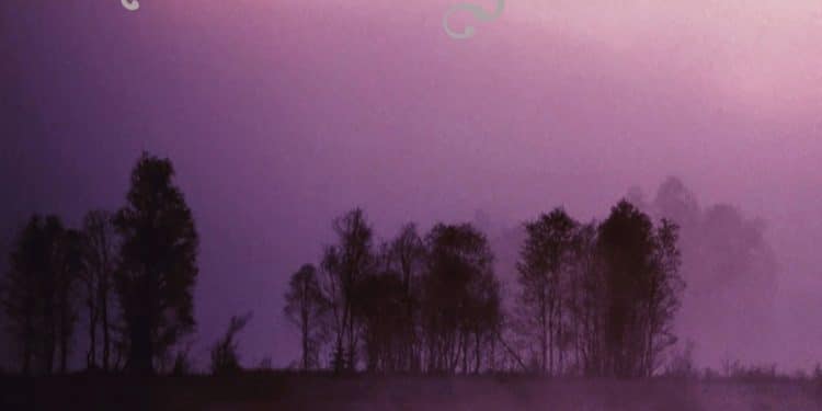 ESCUMERGAMËNT – …Ni Degu Fazentz Escumergamënt E Mesorga…