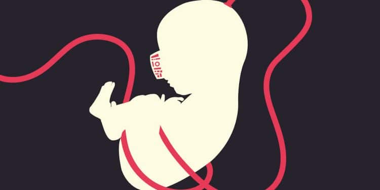 NINFEA, il nuovo album è RI-EVOLUZIONE