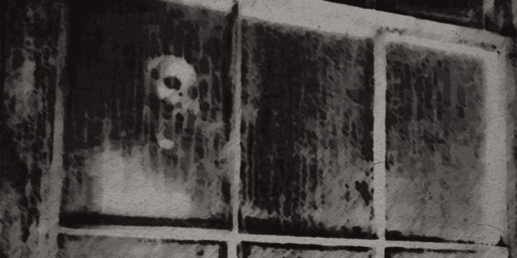 LILYUM: reunion e nuovo album in uscita!