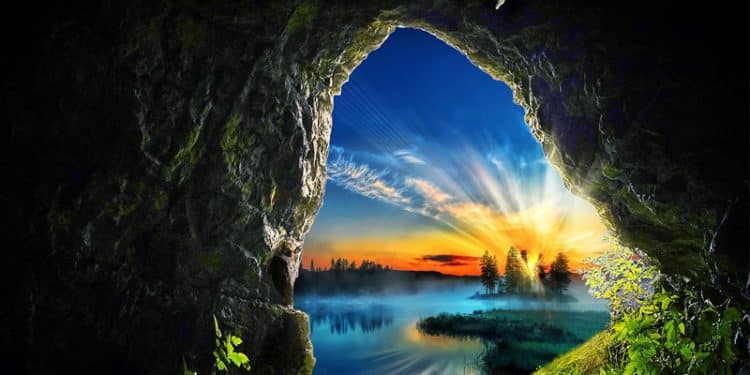 ARC OF LIFE – Arc Of Life