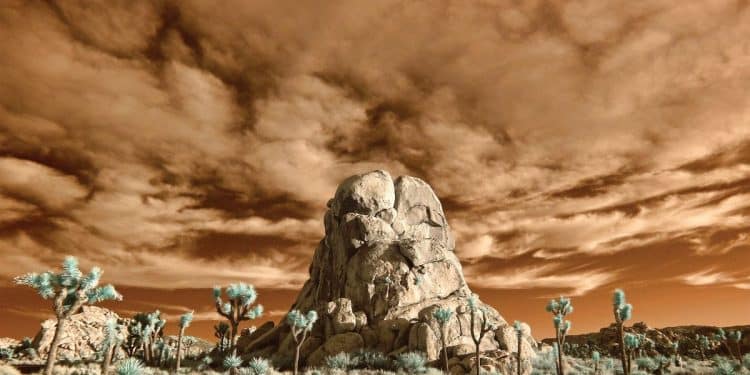 EARTHLESS, in uscita il live album “Live In The Mojave Desert”