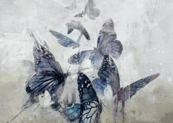WHITE MOTH BLACK BUTTERFLY – The Cost Of Dreaming