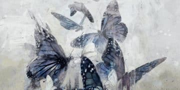 WHITE MOTH BLACK BUTTERFLY – The Cost Of Dreaming