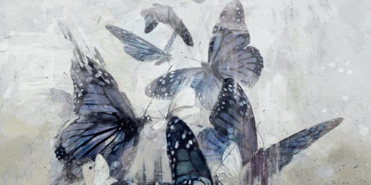 WHITE MOTH BLACK BUTTERFLY – The Cost Of Dreaming