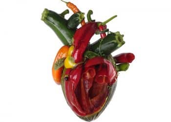 CARCASS, pubblicano il nuovo album “Torn Arteries” il 17 settembre!