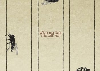 WATERSHAPE, “Il disco sviluppa le idee già affrontate con “Perceptions” ampliandole”