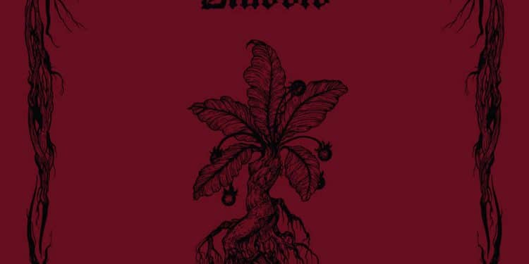 Wine and Fog Productions, nuova realease: i Ponte del Diavolo