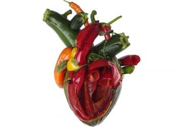 CARCASS – Torn Arteries