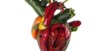 CARCASS – Torn Arteries