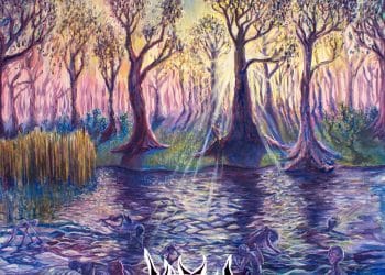 VITTRA – Wardens
