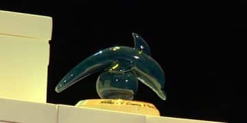 Mostra del Cinema di Taranto: riparte il concorso internazionale