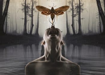 A DARK REBORN – My light
