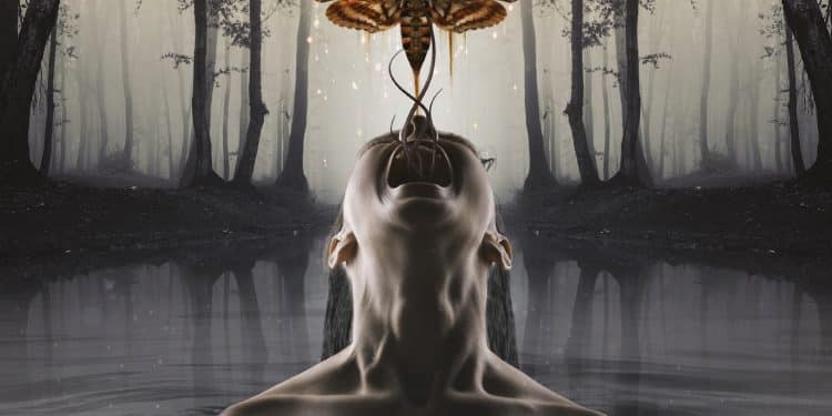 A DARK REBORN – My light