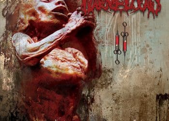 Warmblood, nuovo album per la Spew Records