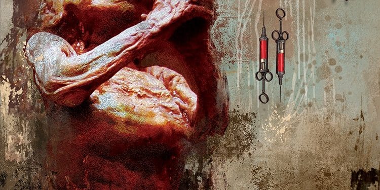 Warmblood, nuovo album per la Spew Records