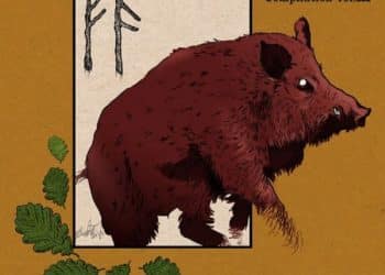 Mister Folk, arriva alla nona edizione