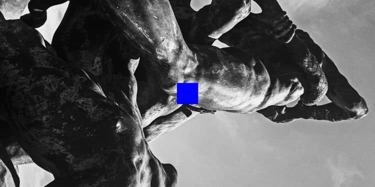 PORT NOIR – Cuts