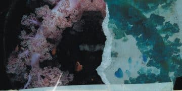 Nuova song per i DREARINESS: Drain
