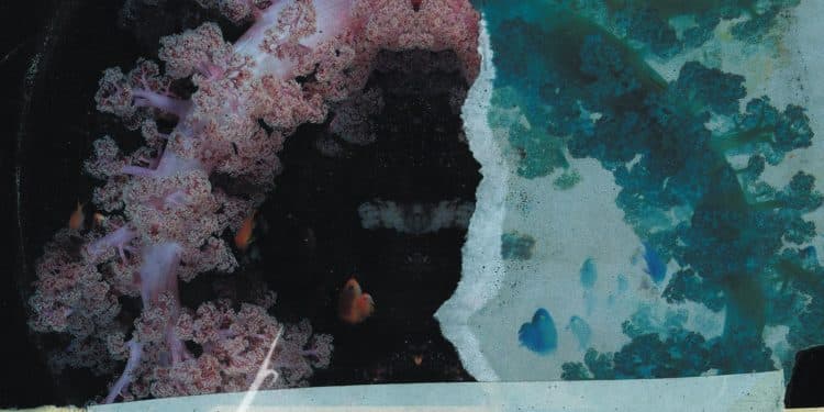 Nuova song per i DREARINESS: Drain