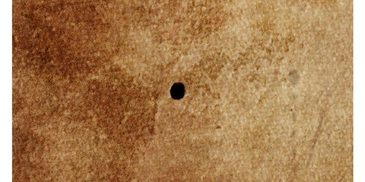 Amesua: esce “Punto”, il nuovo album della band sarda