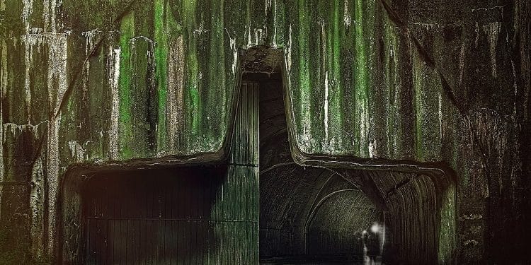 SPIRAL WOUNDS, fuori il primo full length per GREAT DANE RECORDS