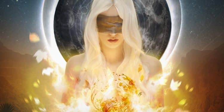 MOONLIGHT HAZE – Animus