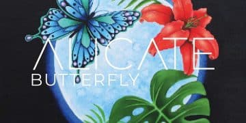 ALICATE – Buttefly