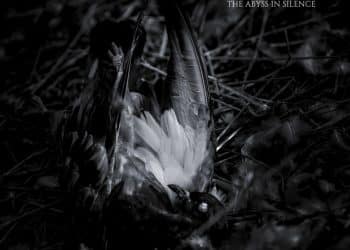 IF I DIE TODAY – The Abyss in Silence