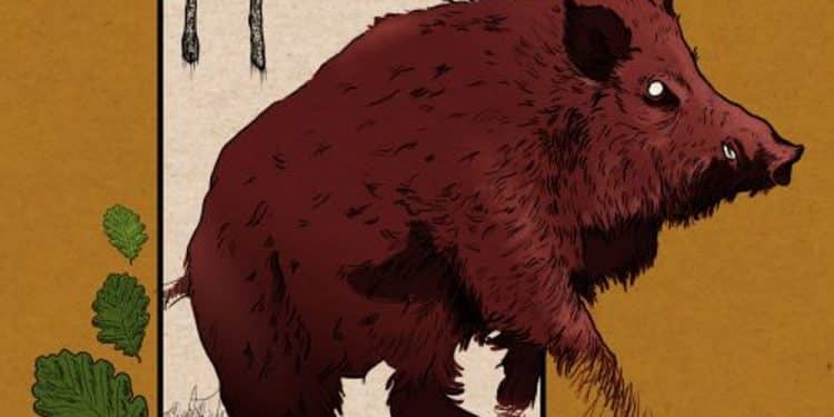 VV.AA. – Mister folk vol 9